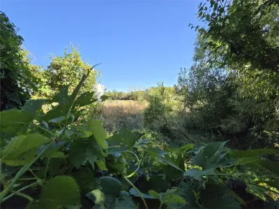 Vindem teren in Plopu - foto 14
