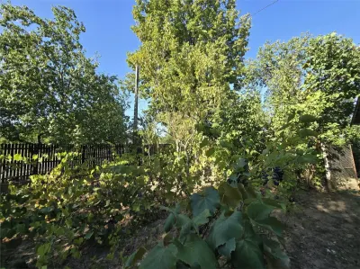 Vindem teren in Plopu - foto 24