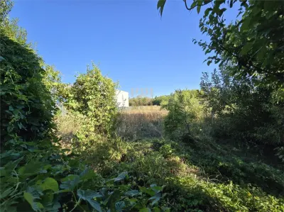Vindem teren in Plopu - foto 5