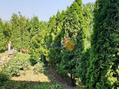 Casa de vanzare Bucium 1000mp teren - foto 12