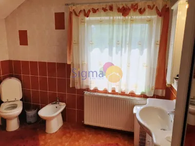 Casa de vanzare Bucium 1000mp teren - foto 13