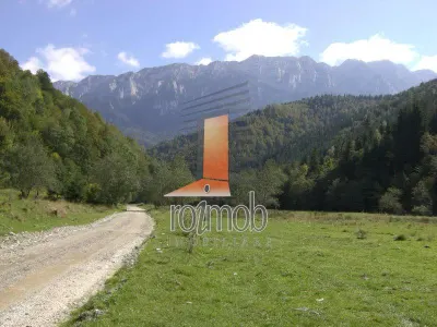 Teren Barsa lui Bucur, Plaiul Foii, Zarnesti - foto 2