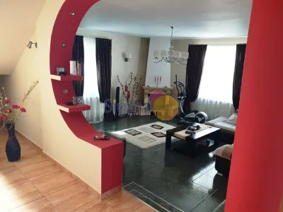Vila D+P+E de vanzare Bucium 1000mp Curte - foto 22