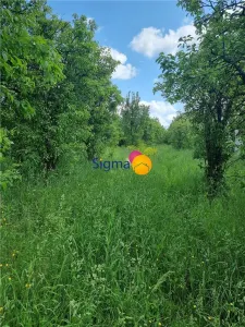 Teren 4300mp, intravillan Bucium, zona manastirii Piatra Sfanta - Iasi