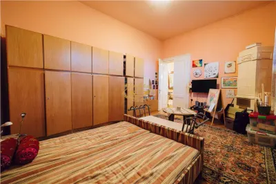 Vila in stil Art Nouveau (Targu Mures, str. Alexandru Papiu Ilarian) - foto 23