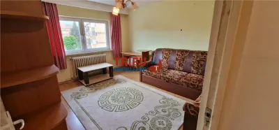 Garsoniera de vanzare etaj 3 Cetate - foto 3