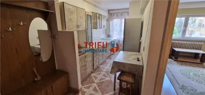 Garsoniera de vanzare etaj 3 Cetate - foto 7