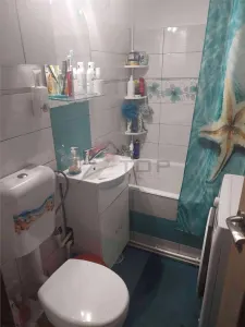 Apartament 3 cam decomandat, Pacurari- Posta/ Moara de Foc - foto 7