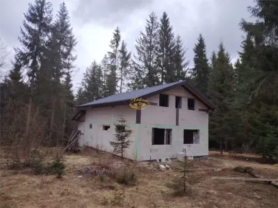Casa de vacanta nefinalizata (Borzont) - foto 1