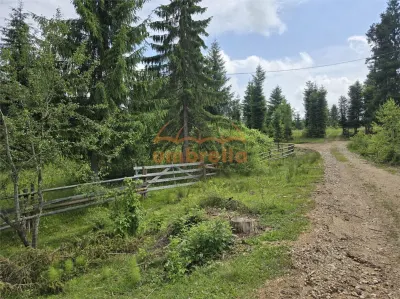 Teren de vanzare intravilan Dealu Negru, com.Calatele, jud. Cluj 1.500m²/25€ m² - Calatele