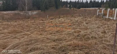 De vanzare teren 1.238m² Belis langa Pescarie - La Gavrila ! 21€m² - foto 8