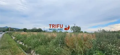 Teren 9000mp  pretabil industrial - foto 7
