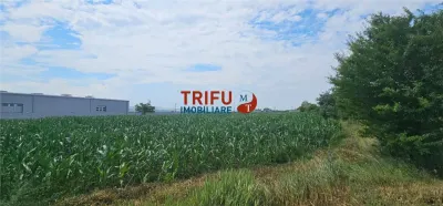 Teren Intravilan Soseaua De Centura !3500mp - foto 4