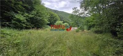 Teren ideal pentru cabană sau pensiune în Poiana Galdei - foto 11