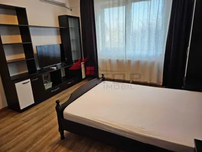 Apartament cu 1 camera decomandat Valea Adanca - foto 2