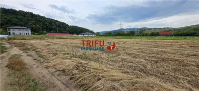 Teren de vanzare in Sard cu suprafata de 1374 mp - Sard