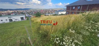 Teren De Vanzare Piata Cetate Cu Priveliste ! - foto 10