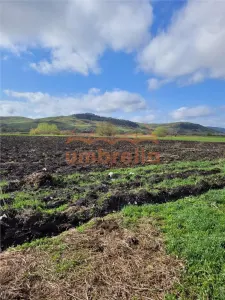 Teren de vanzare 2 parcele total 18.000m²/50€ m² Gherla ! - foto 4