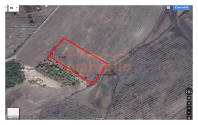 Teren de vanzare 11,600m²/6€ m² in Campenesti, langa lacul 1 - foto 3