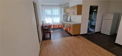 Apartament 2 camere de inchiriat zona Alba Micesti - foto 7