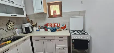 Cabana de vânzare în Intregalde – 5 camere, 1.200 mp teren, ciubăr și piscină - foto 17