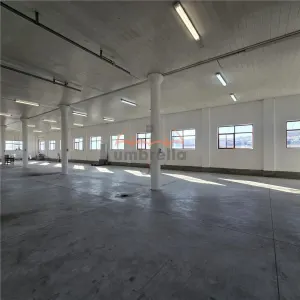 DE INCHIRIAT hala industriala, 577m², cu posibilitate + 233m², h 4.37m - Luna de Sus