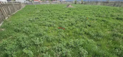 Teren de vanzare cu utilitati, 1316 mp - foto 2