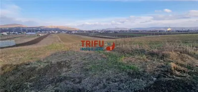 Teren de vanzare zona Barabant - foto 10