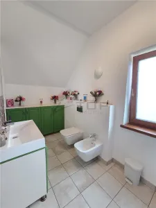 Proprietate Deosebita cu 4600 Mp Teren, 2 Case, Panouri Fotovoltaice si Sera - foto 20