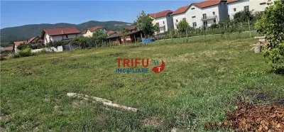 Teren de vanzare Alba Micesti, 1200 mp - foto 3