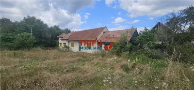 Casa de vanzare in Hapria 4139mp teren - foto 4