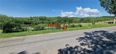 Teren de vanzare zona Teleac - foto 10