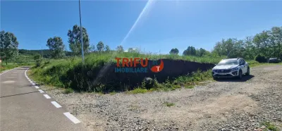 Teren de vanzare zona Teleac - foto 4