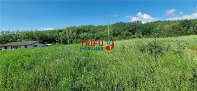 Teren de vanzare zona Teleac - foto 7