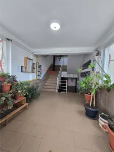 Visan - Profi, 2 camere decomandat in bloc nou, 70mp cu loc de parcare inclus - Iasi