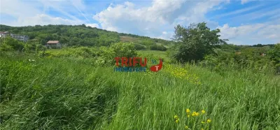 Teren De Vanzare Valea Popii ! - foto 1