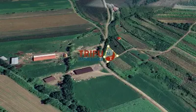 Teren 600 mp accesibil în Șard, zonă liniștită - Sard