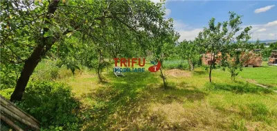Casa de vanzare com Ciugud toate utilitatile - foto 6