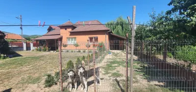 Casa de vanzare 2000 mp teren Micesti - Alba Iulia