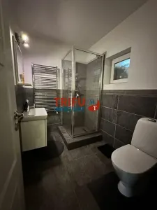 Casa de vanzare P+M cartierul Lipoveni - foto 7