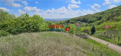 Teren de vanzare cu panorama deosebita 910 mp - foto 2