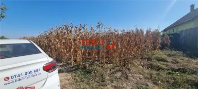 Teren intravilan 2464 mp de vanzare pe soseaua de centura - Alba Iulia