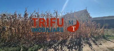 Teren intravilan 2464 mp de vanzare pe soseaua de centura - foto 3