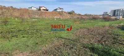 Teren intravilan 2900 mp pretabil P+3 zona Cetate - foto 2