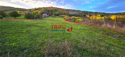 Teren de vanzare Valea Popi - foto 1