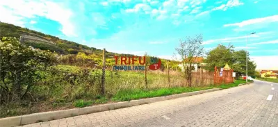 Teren de vanzare Valea Popi - foto 2