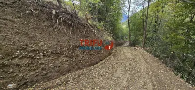 Teren Intravilan de Vanzare in Zona Turistica Ramet - foto 7