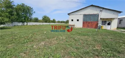 Hala de inchiriat Alba Iulia - Alba Iulia
