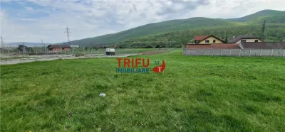 Teren de vis la liziera pădurii – liniște, natură și aer curat! - foto 5