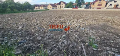 Teren de vanzare parcelabil in Bucerdea Vinoasa - foto 2